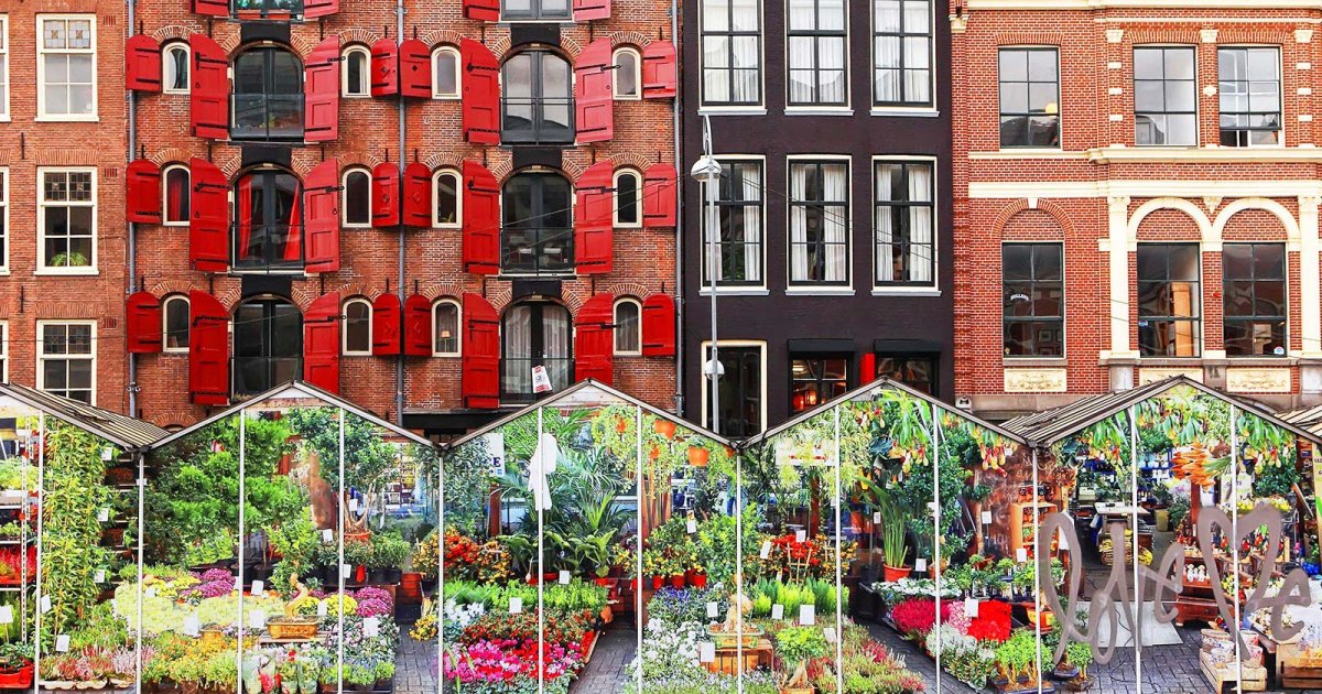 AMSTERDAMER GRACHTENGÜRTEL, Singel Blumenmarkt