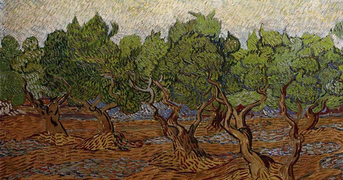 MUSÉE VAN GOGH, Saint Remy