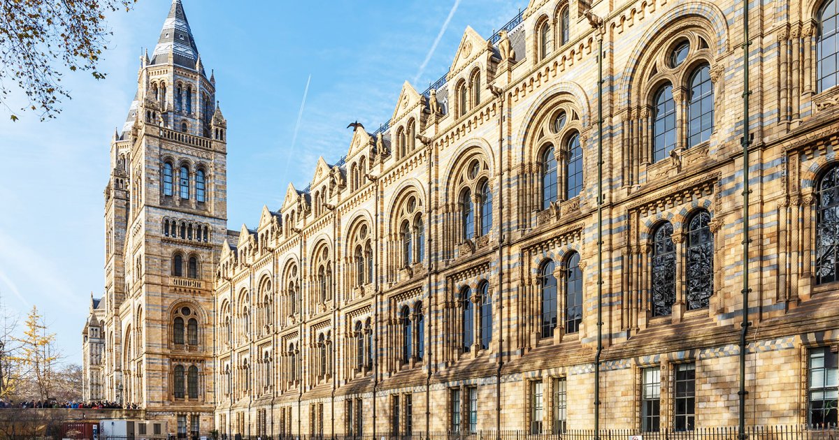 NATURAL HISTORY MUSEUM, Introduction