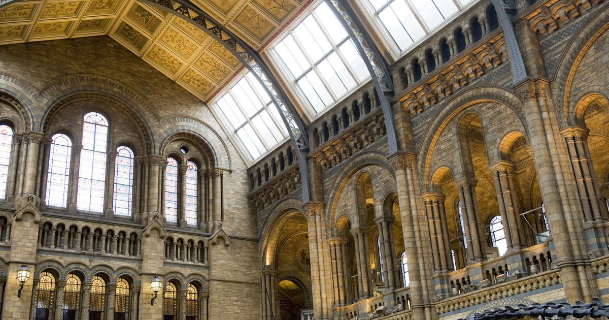 NATURAL HISTORY MUSEUM, Tour