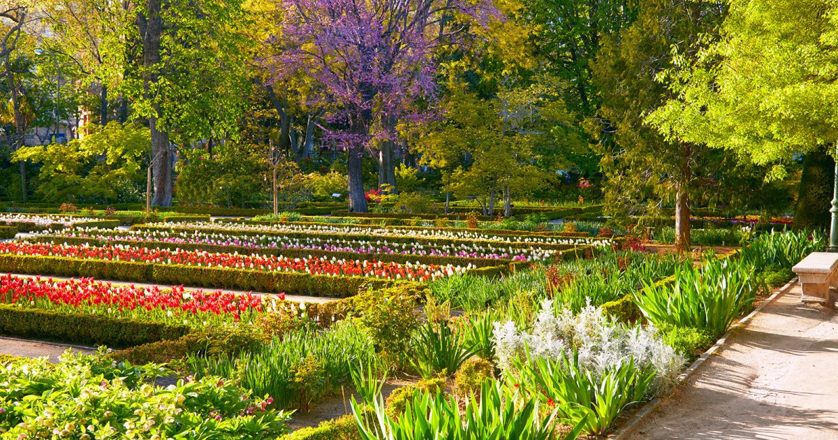 BOTANISCHER GARTEN, Botanischer Garten