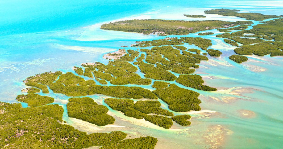 CAYOS DE FLORIDA, Upper Keys