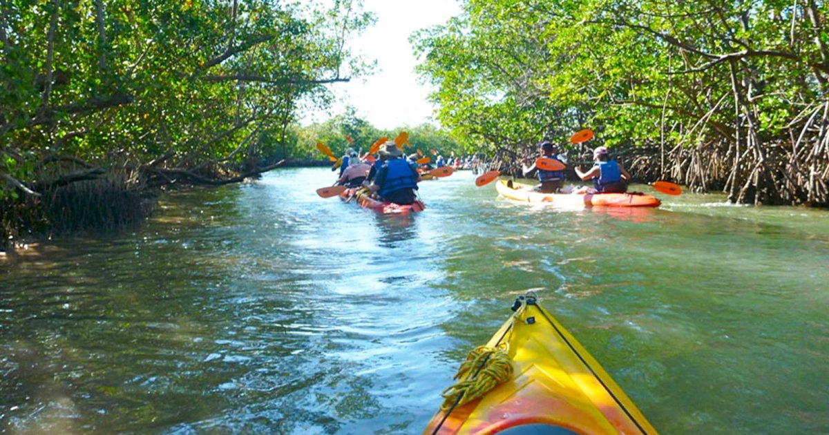 OLETA RIVER STATE PARK, Oleta River State Park