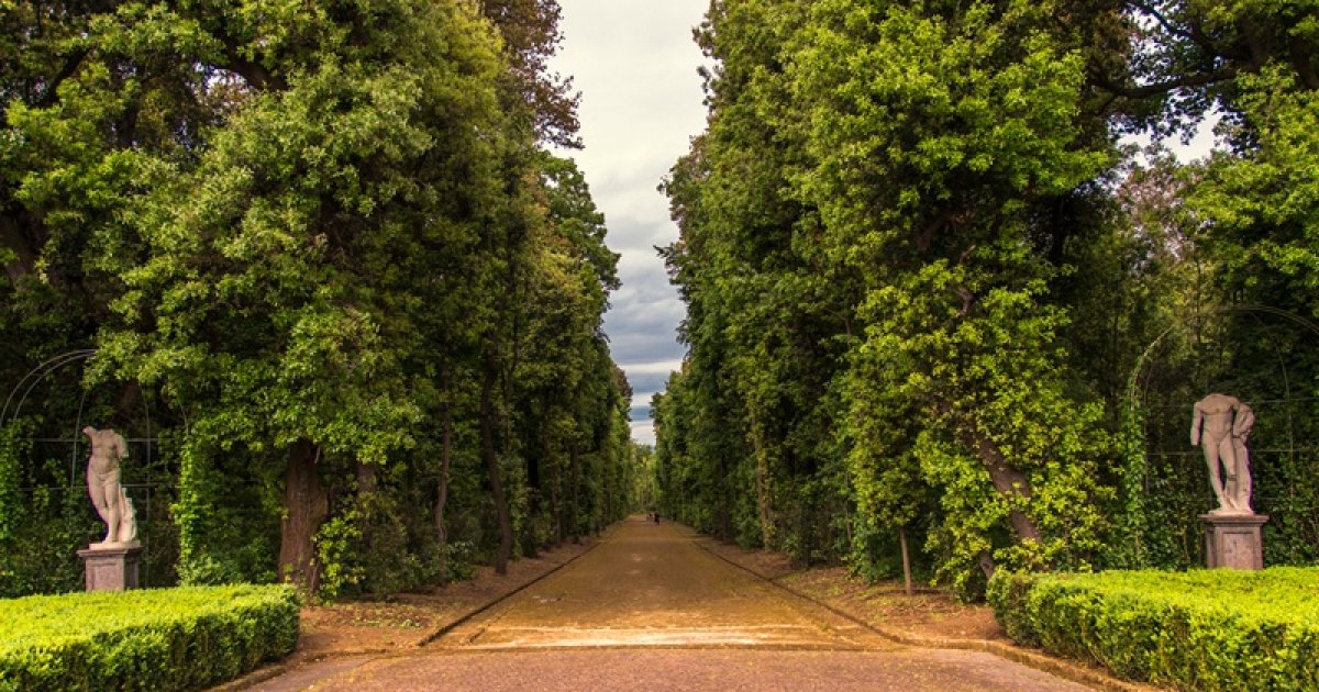 КОРОЛЕВСКИЙ ЛЕС КАПОДИМОНТЕ, Презентация - Ai Voice