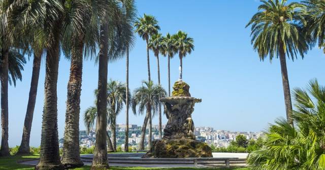 BOIS ROYAL DE CAPODIMONTE