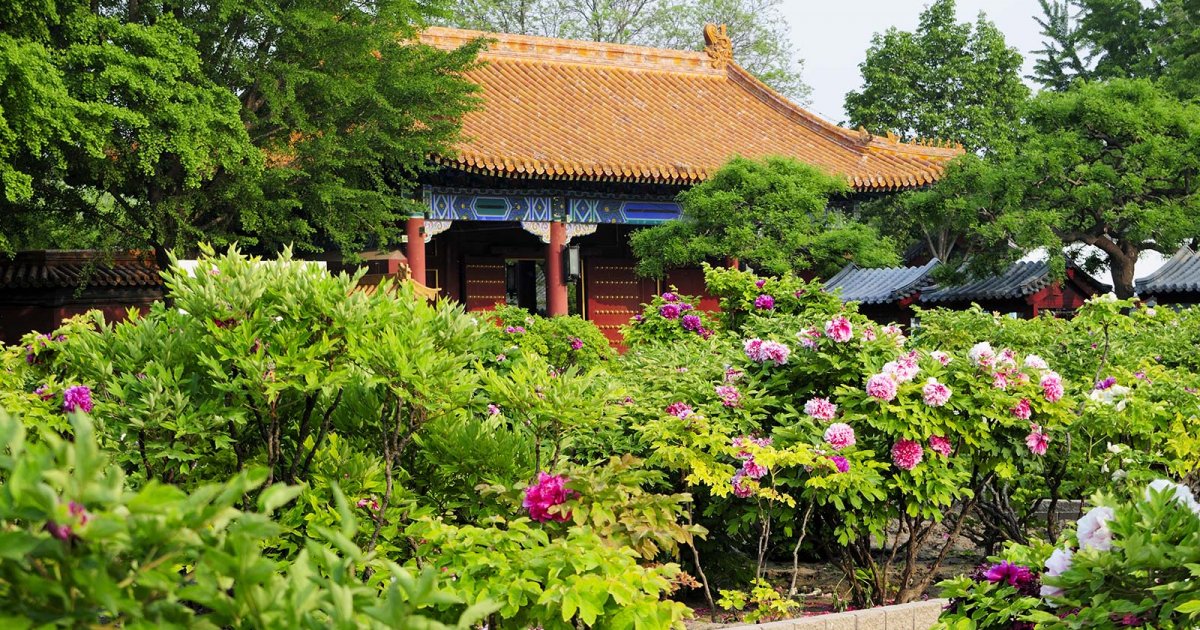 JINGSHAN-PARK, Jingshan-Park