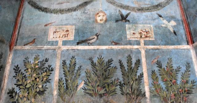 HOUSE OF THE ORCHARD-REGIO I