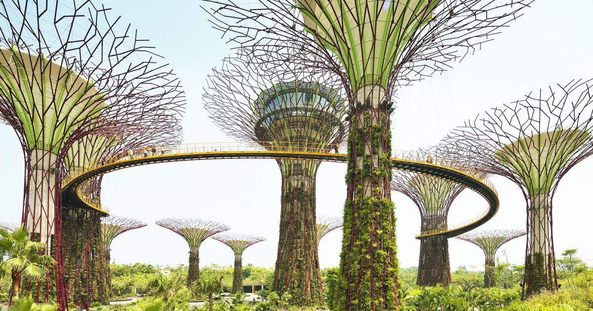 GARDEN BY THE BAY, Introduzione