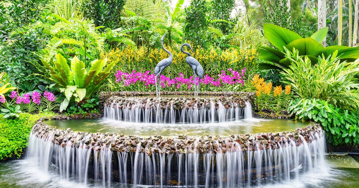 JARDÍN BOTÁNICO, Jardín Botánico