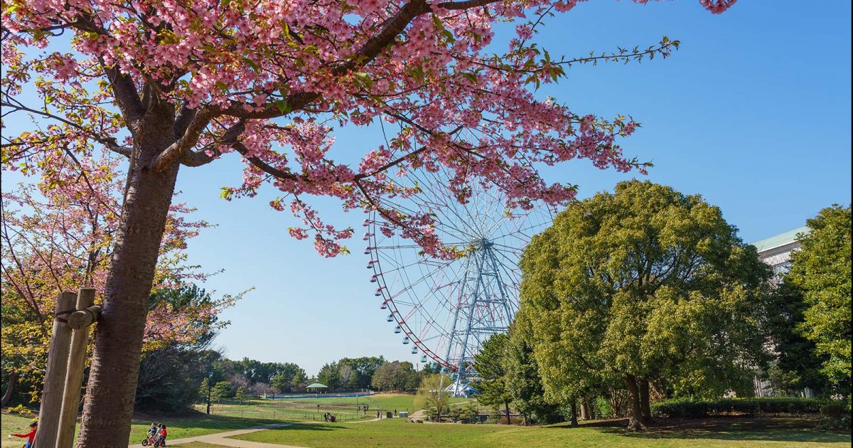 DIAMOND AND FLOWER FERRIS WHEEL