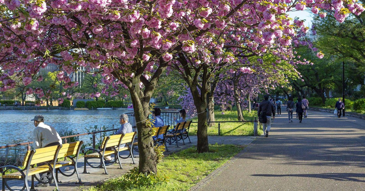 UENO PARK, Introduction