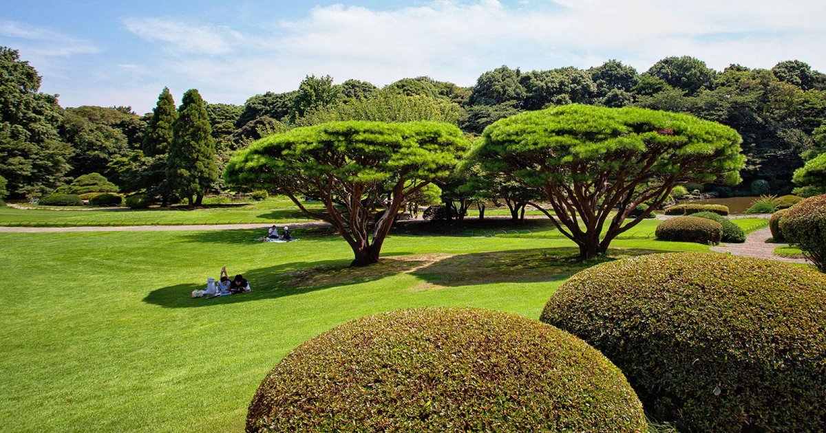 JARDÍN NACIONAL SHINJUKU GYOEN, Jardín Nacional Shinjuku Gyoen