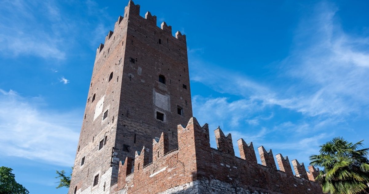 TOUR VANGA, Présentation - Ai Voice