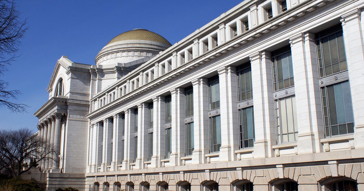 MUSEUM OF NATURAL HISTORY, Presentation